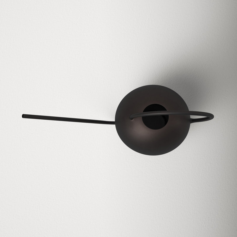 AllModern Addie Iron Watering Can & Reviews Wayfair